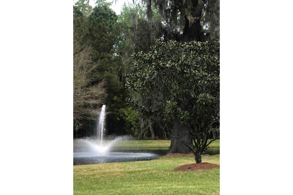 Photo of Outdoor in Northside
