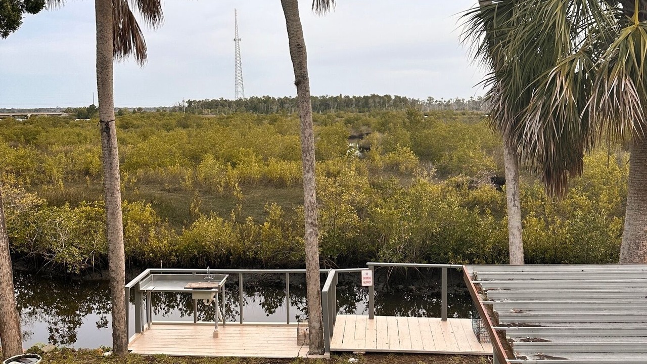 Photo of Outdoor in Crystal River