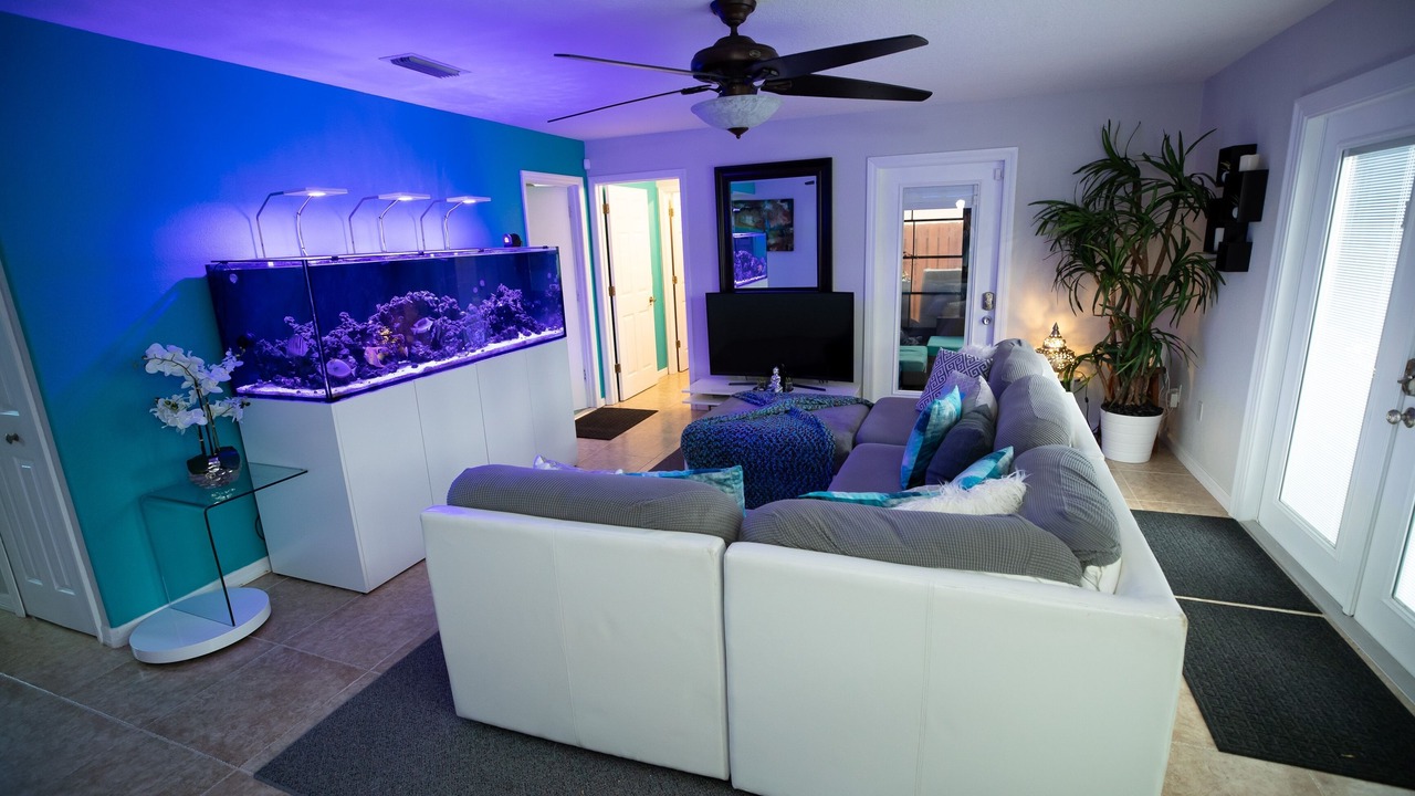 Photo of Bedroom in Tropic