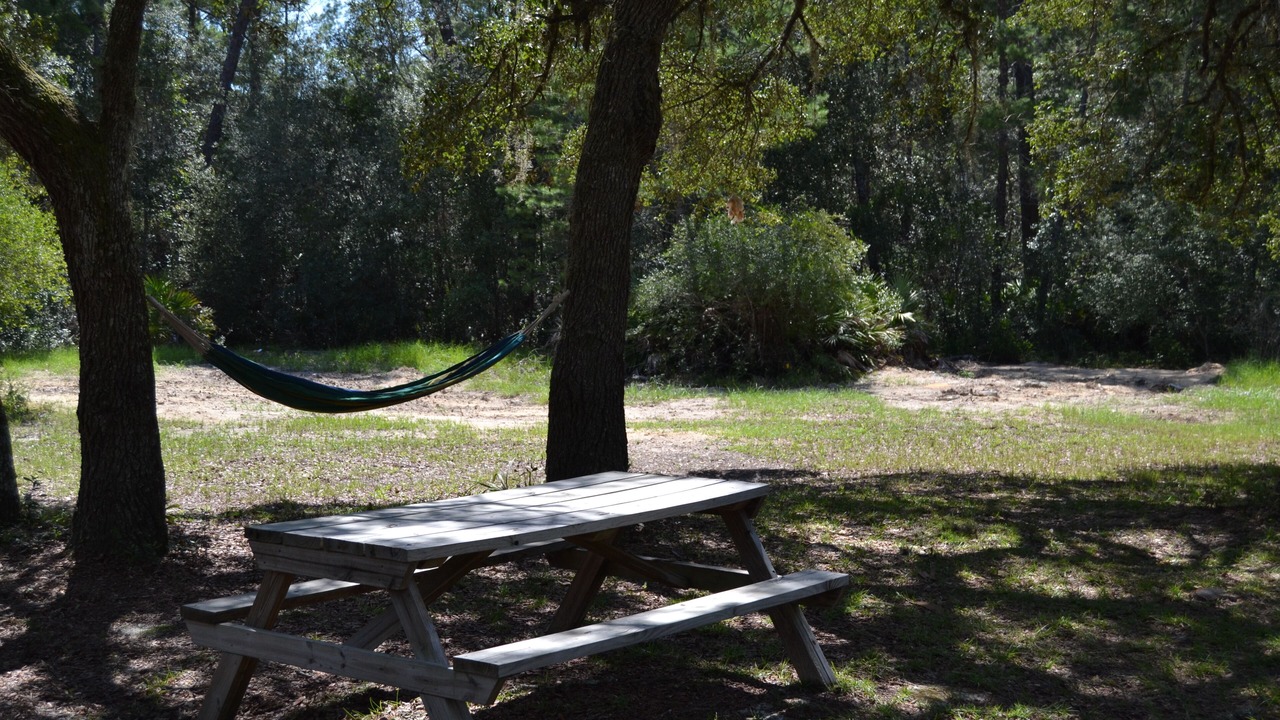Photo of Outdoor in Citrus Springs