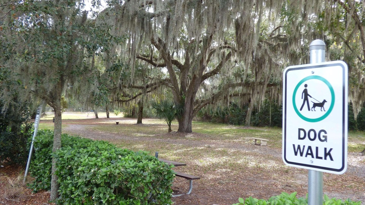 Photo of Others in Port Orange