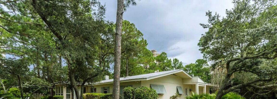 Photo of Outdoor in Gulf Pines