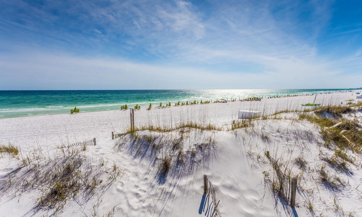 Photo of Others in Gulf Pines