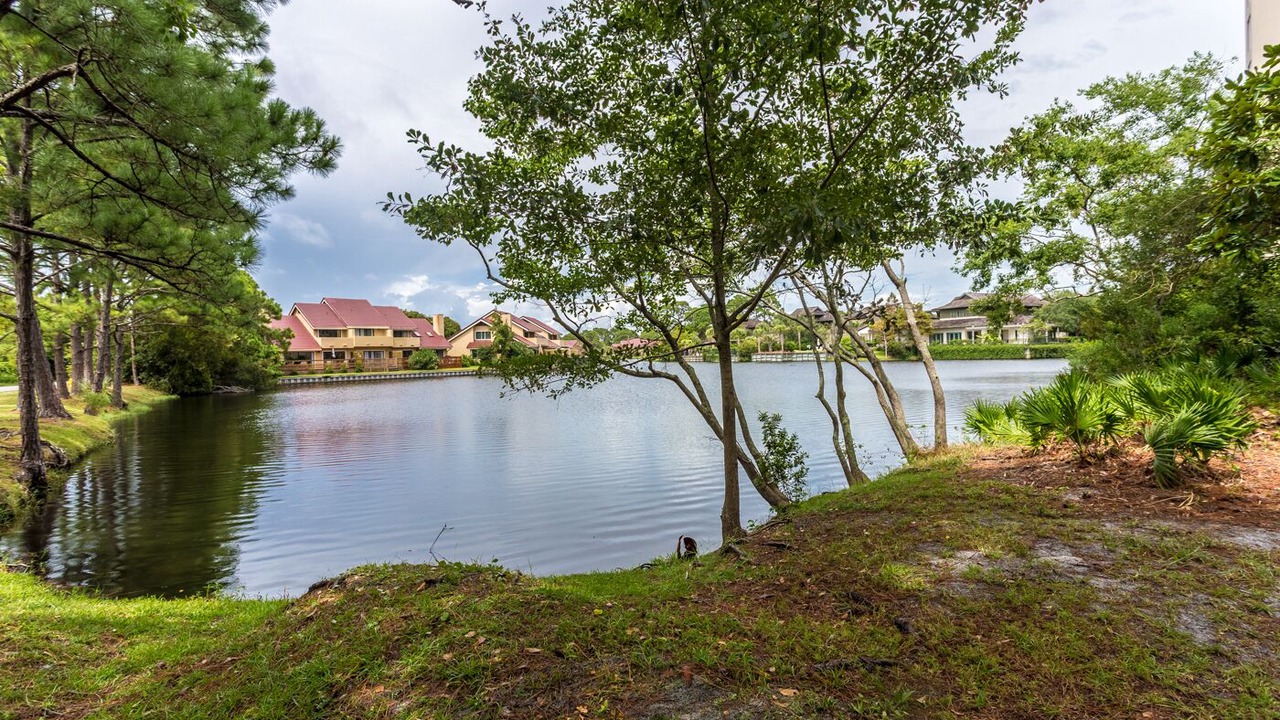 Photo of Outdoor in Gulf Pines