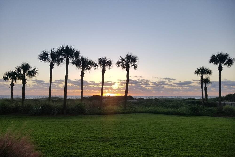 Photo of Outdoor in Amelia City
