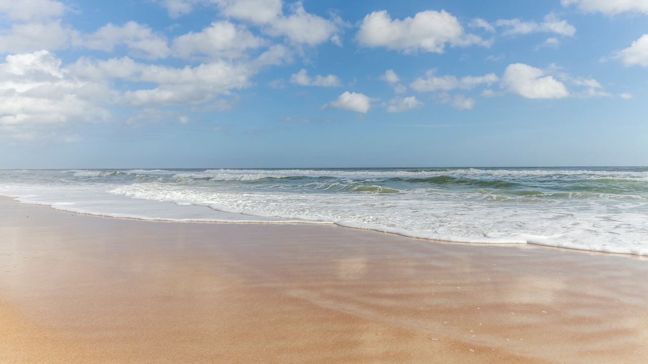 Photo of Others in St. Augustine Beach