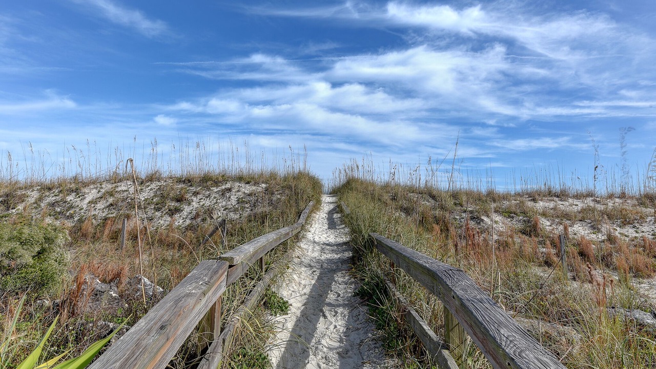 Photo of Others in St. Augustine Beach