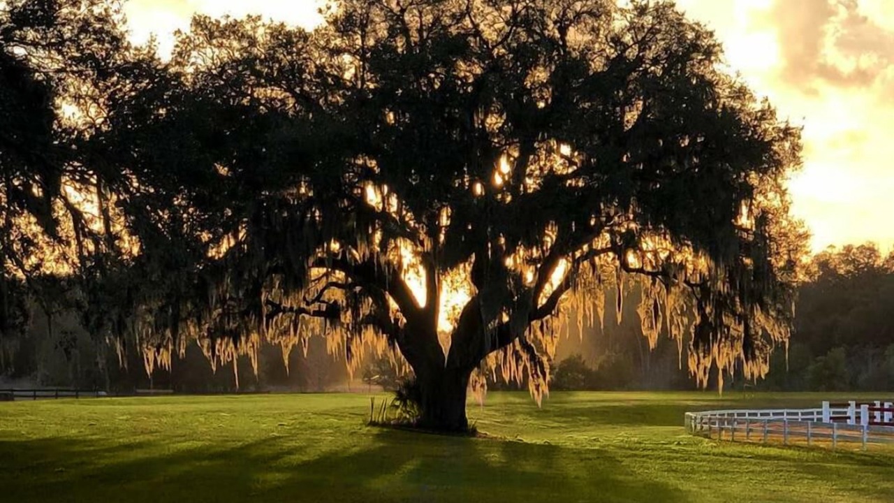 Photo of Outdoor in Weirsdale