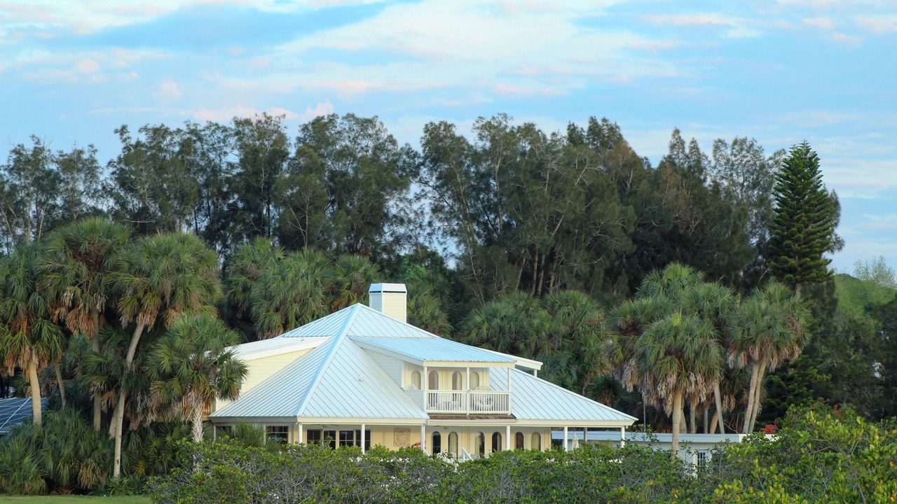 Photo of Outdoor in Aripeka