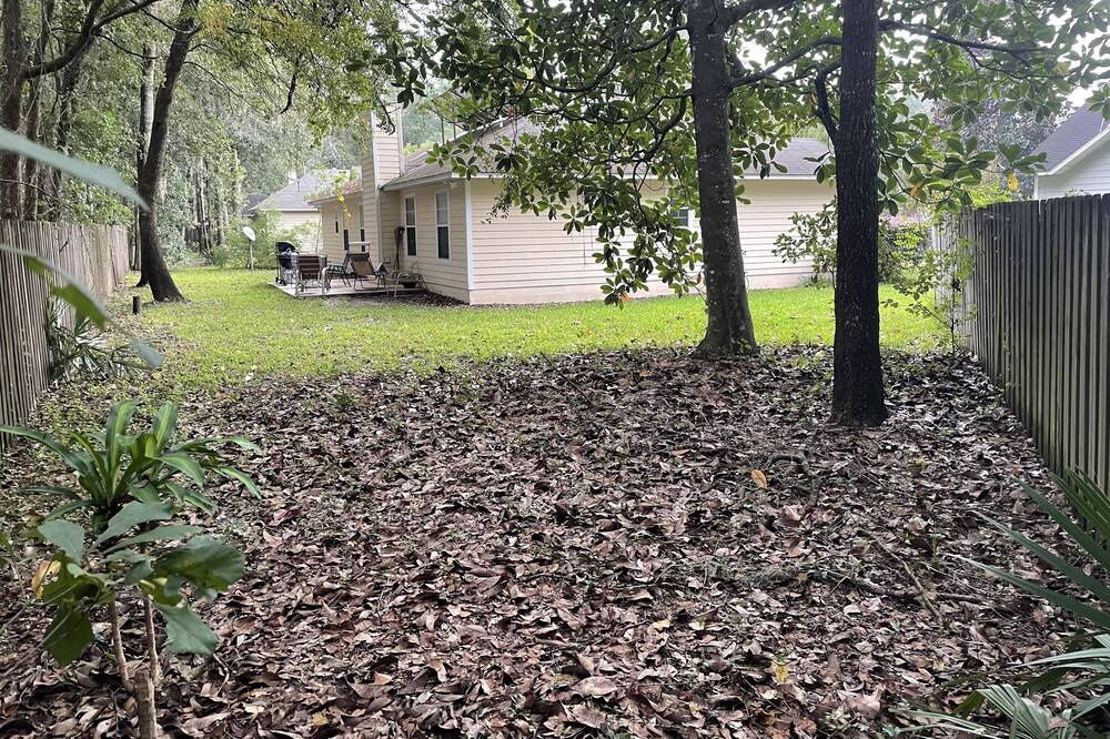 Photo of Others in Gainesville