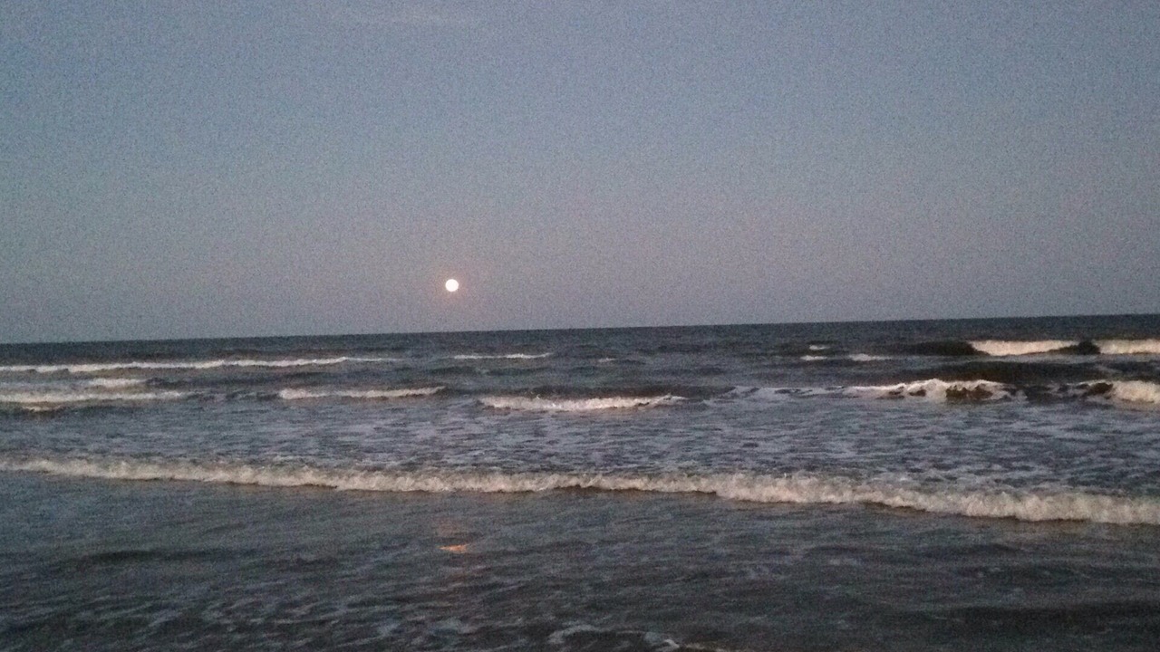 Photo of Others in Isle of Palms