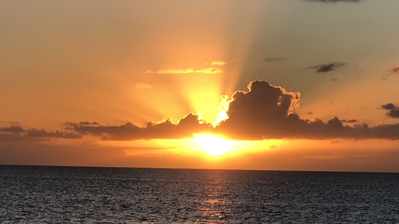 Photo of Others in Marco Island