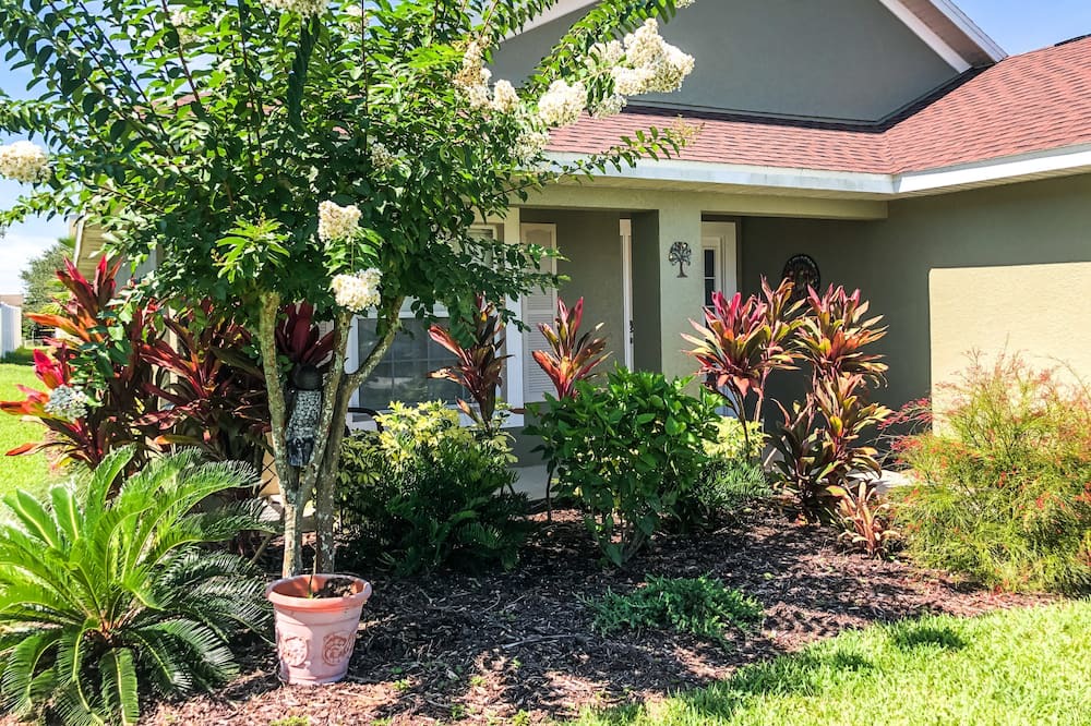 Photo of Others in Florida Pines