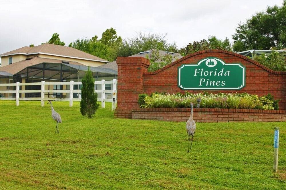 Photo of Others in Florida Pines
