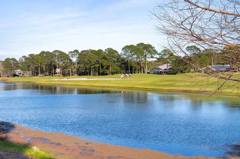 Photo of Outdoor in Laurel Grove