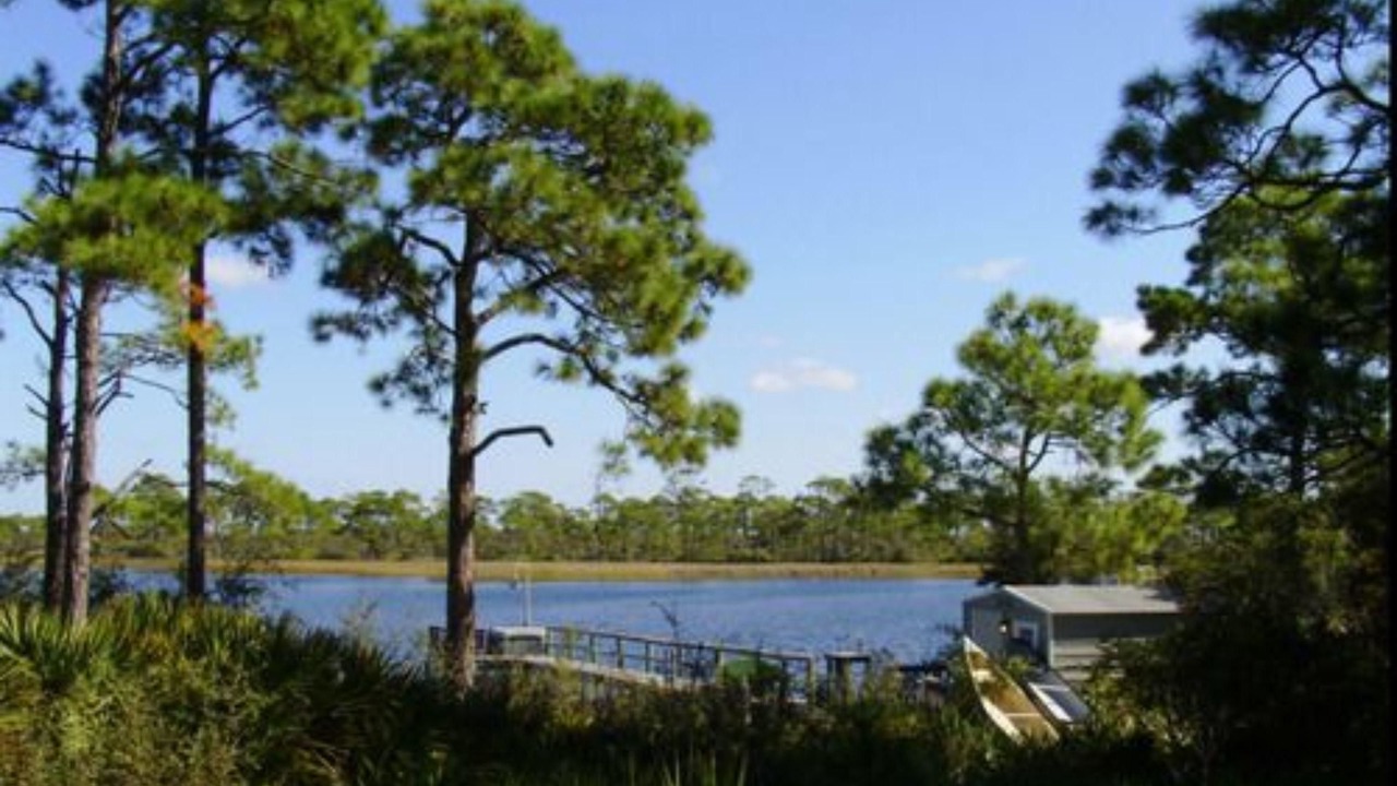 Photo of Outdoor in Cape San Blas