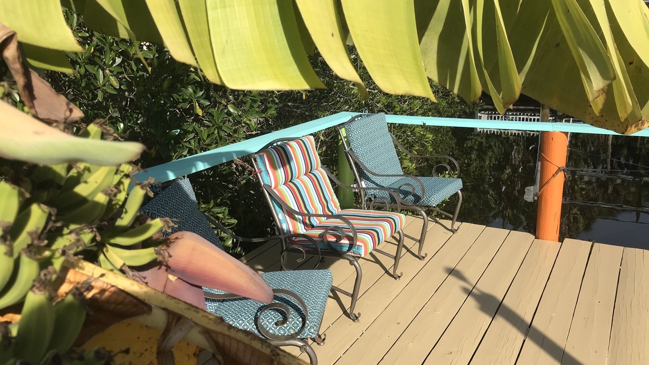 Photo of Outdoor in Port Charlotte