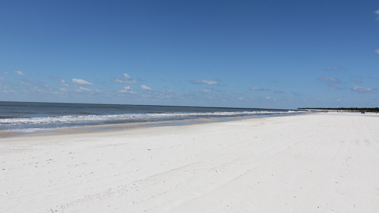 Photo of Outdoor in Cape San Blas