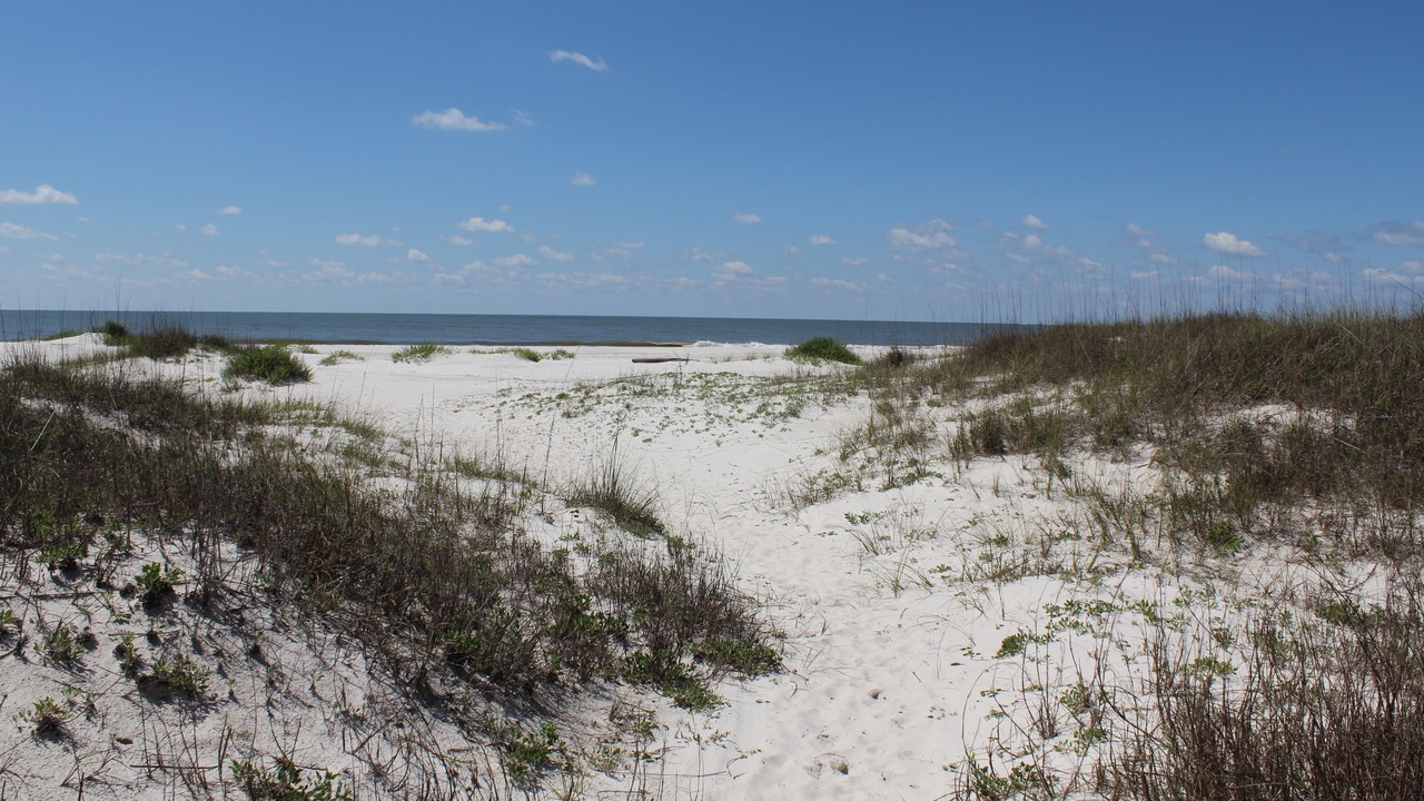 Photo of Others in Cape San Blas
