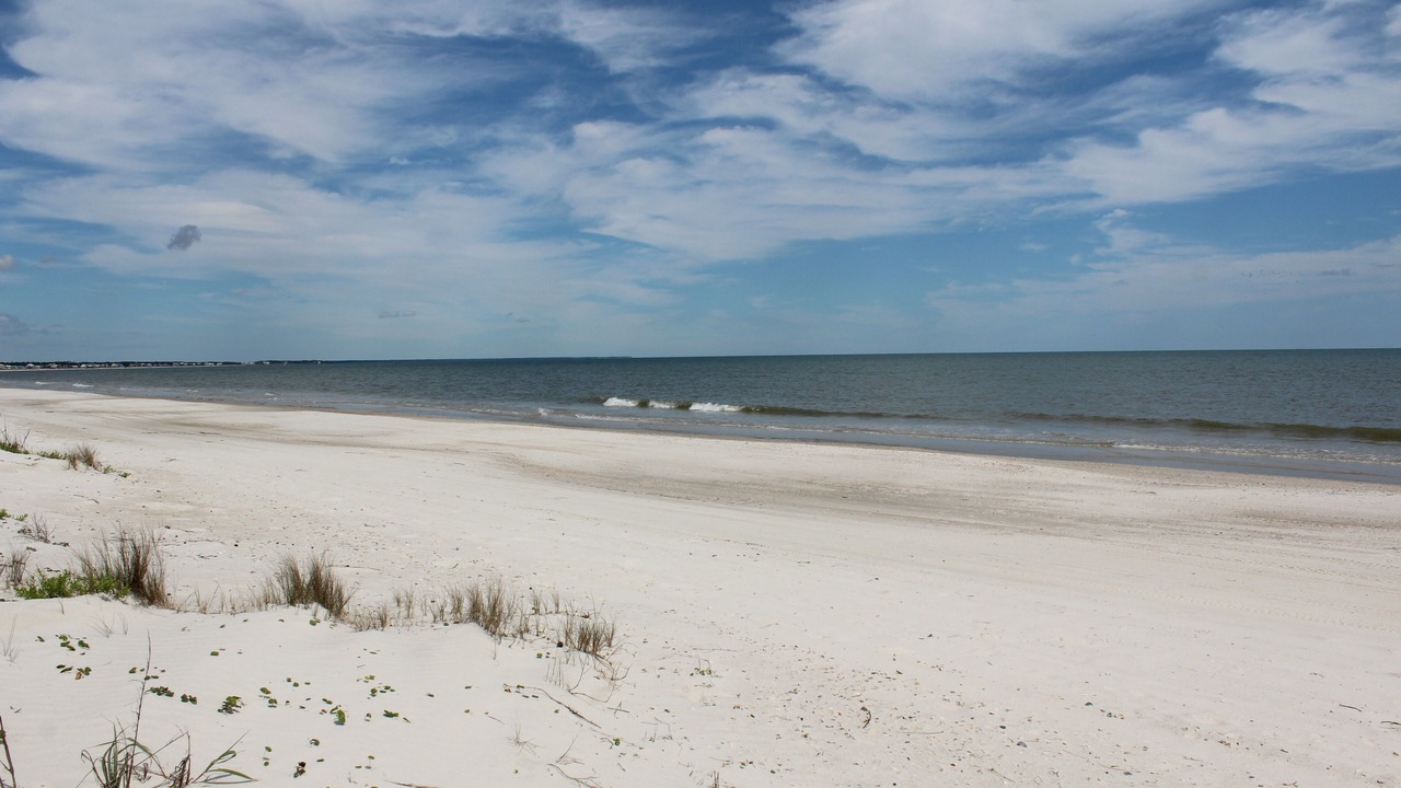 Photo of Outdoor in Cape San Blas