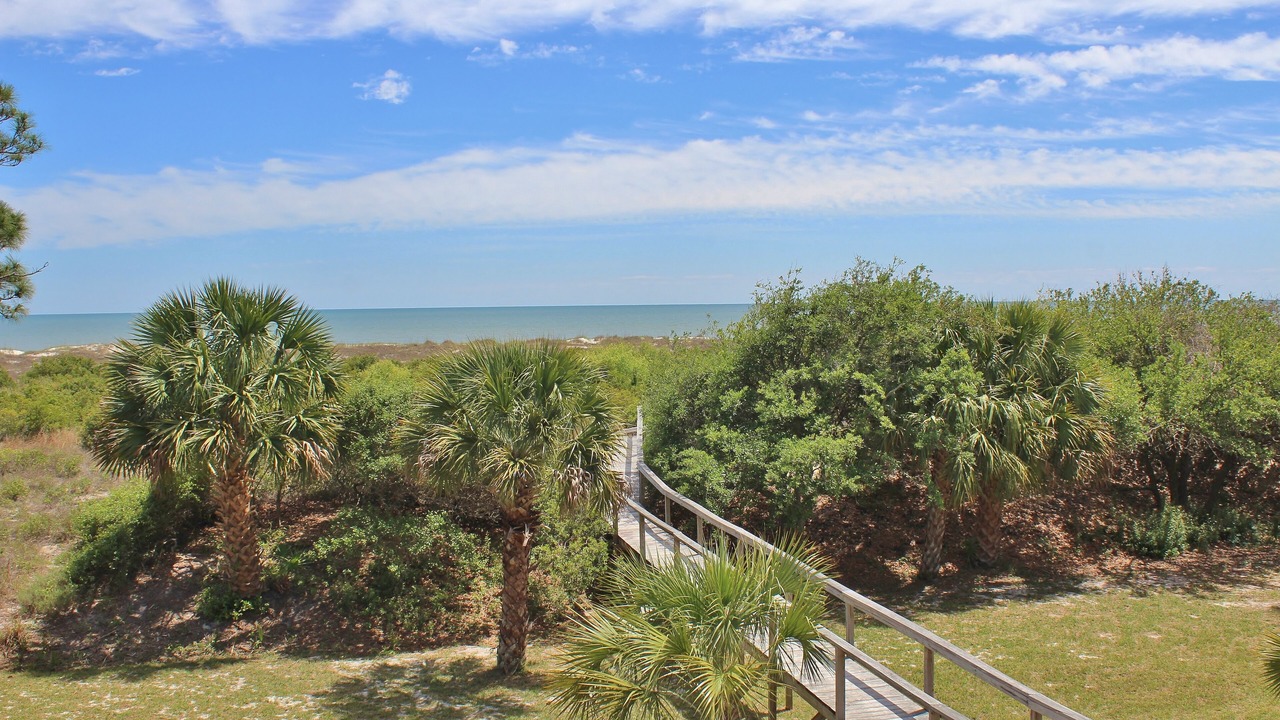 Photo of Outdoor in Cape San Blas