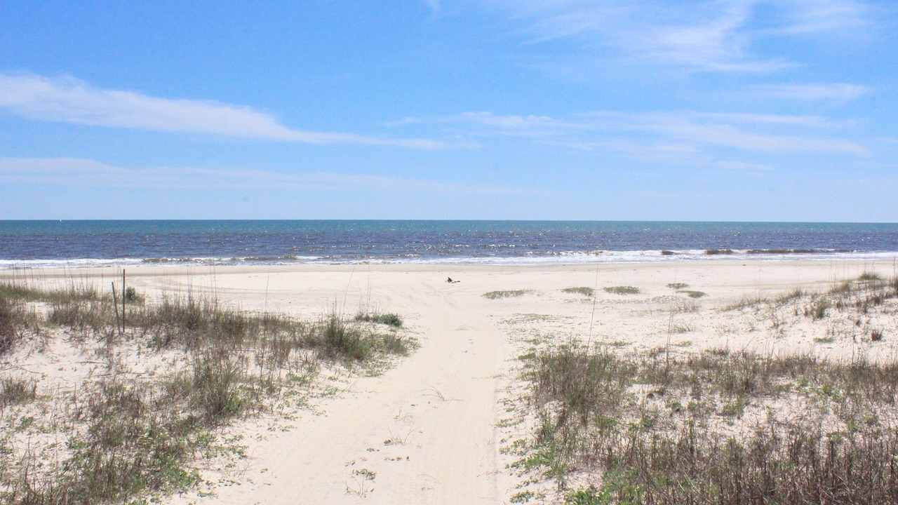 Photo of Outdoor in Port St. Joe