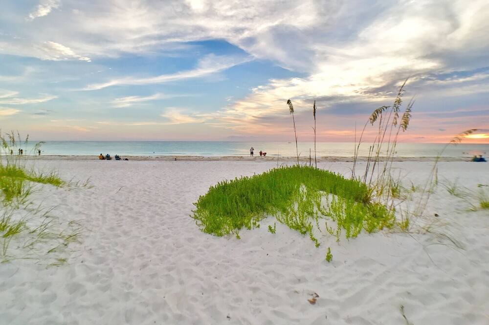 Photo of Others in Whitney Beach