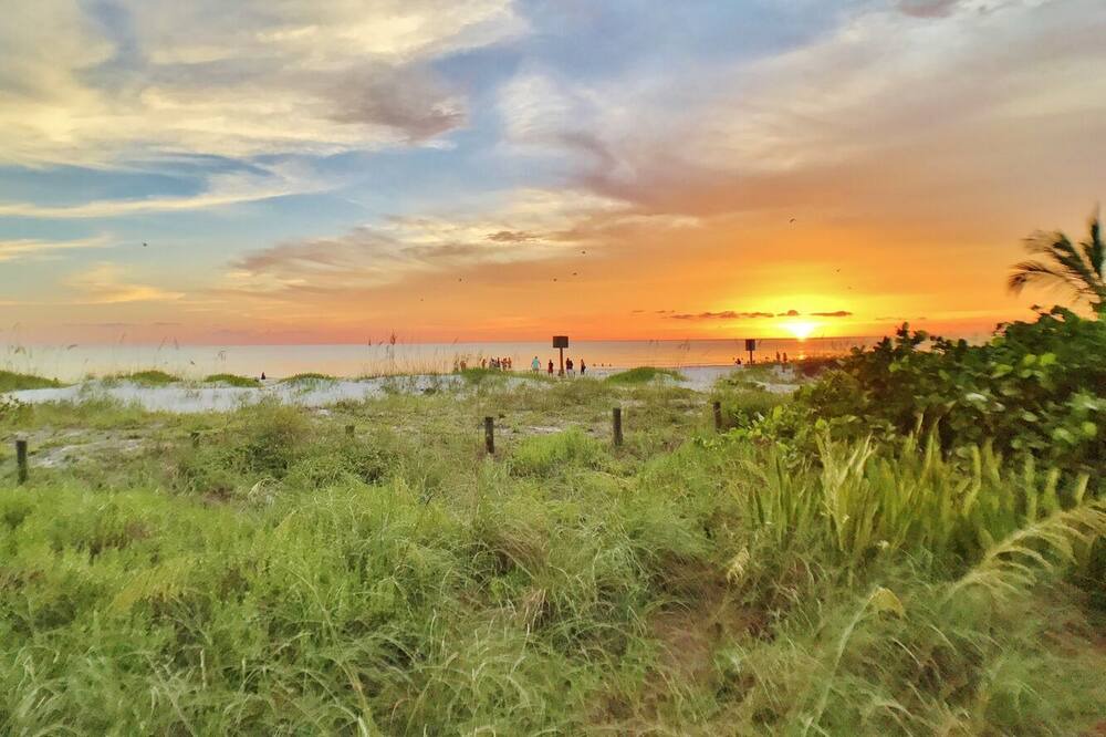 Photo of Others in Whitney Beach