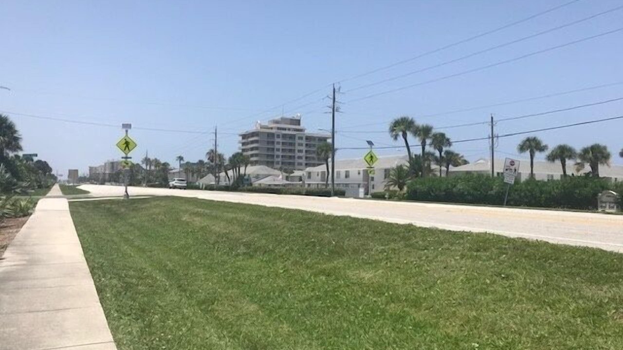 Photo of Others in New Smyrna Beach