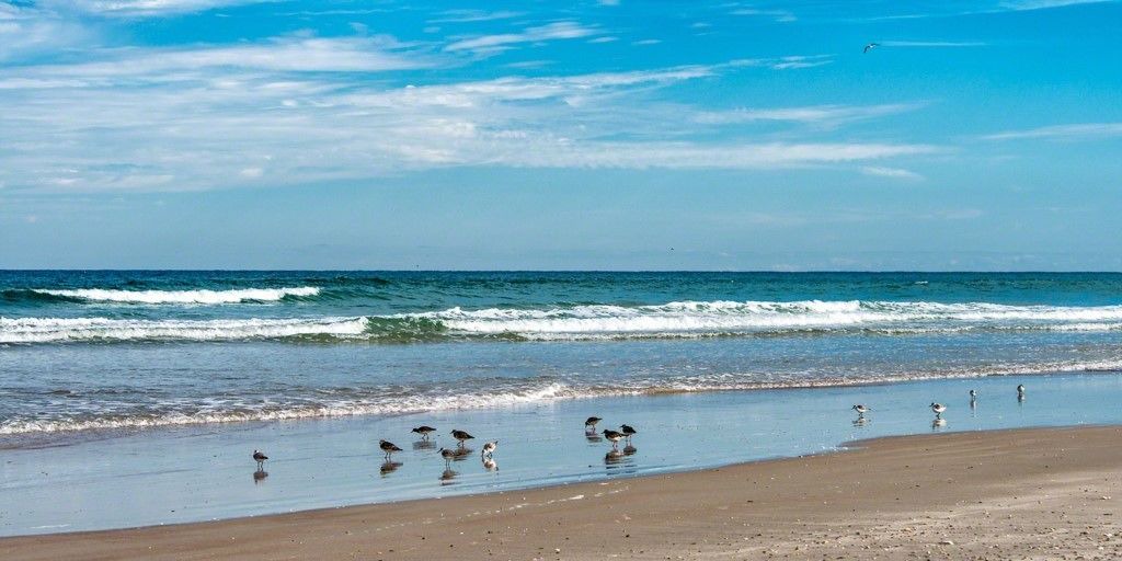 Photo of Others in New Smyrna Beach