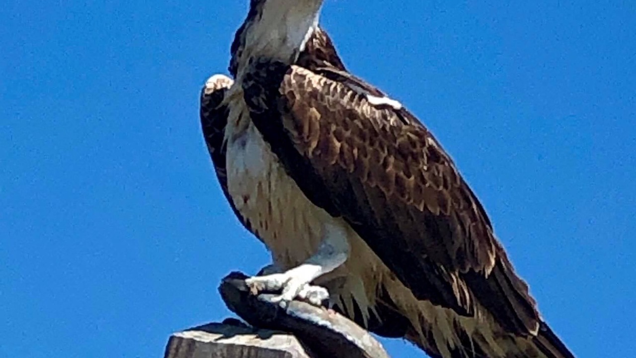 Photo of Others in Englewood