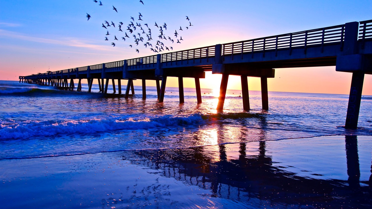 Photo of Others in Jacksonville Beach