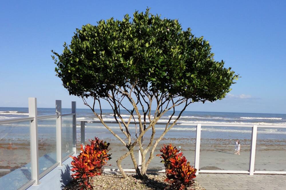 Photo of Outdoor in Bostroms Lower Ormond Beach