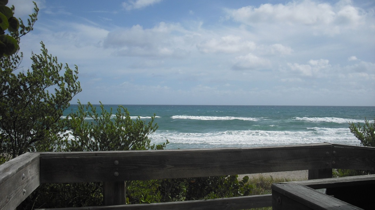 Photo of Others in Boca Raton