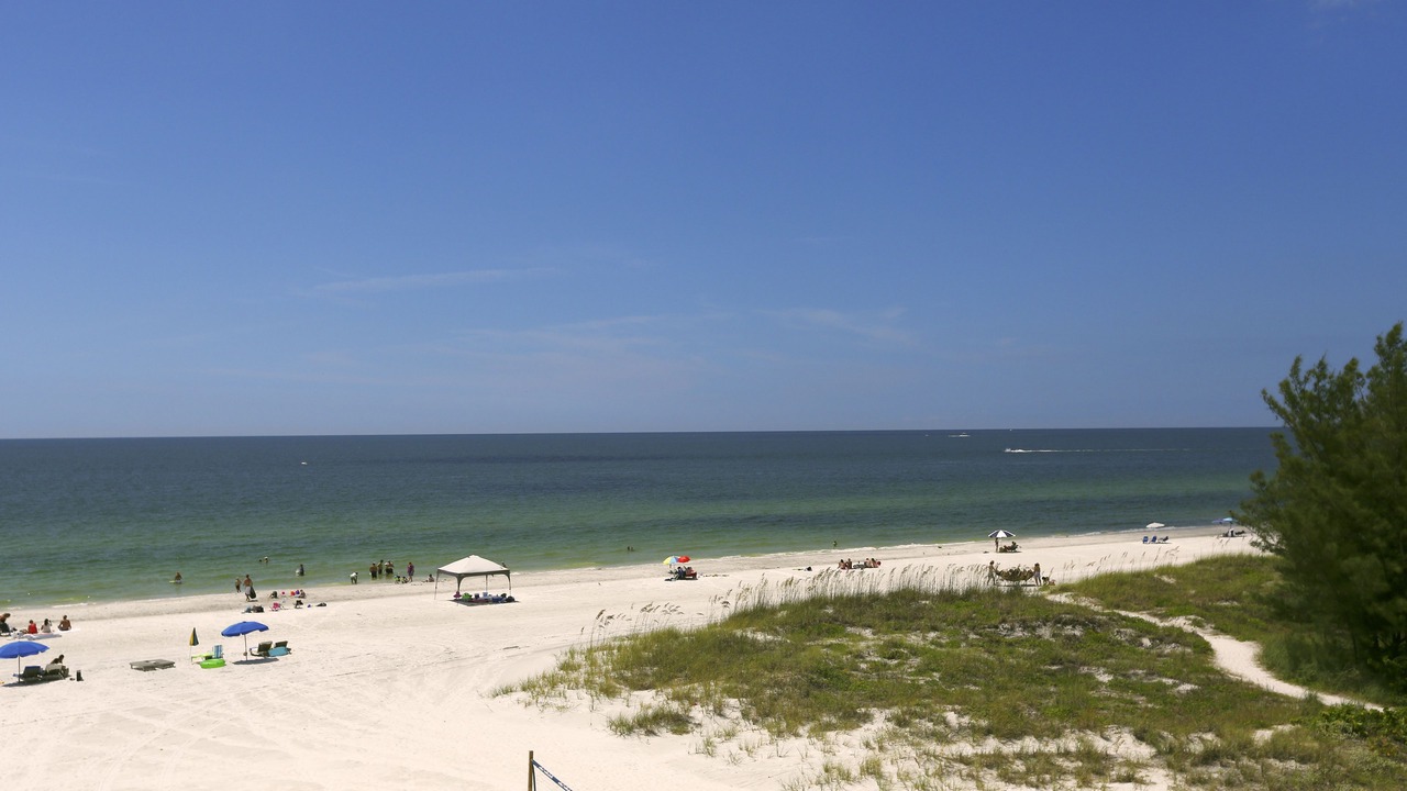 Photo of Others in Madeira Beach