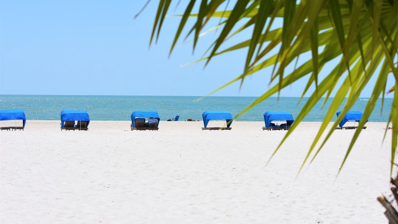 Photo of Others in Madeira Beach