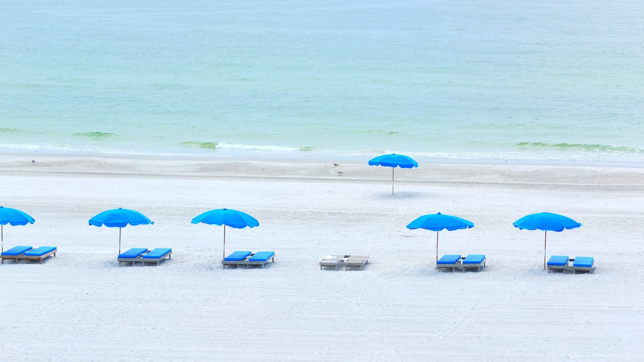 Photo of Others in Madeira Beach