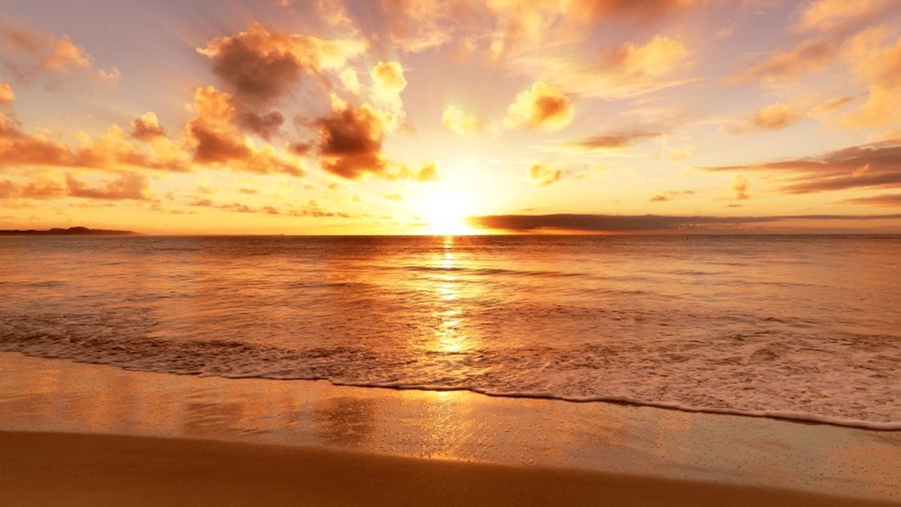 Photo of Others in St. Augustine Beach