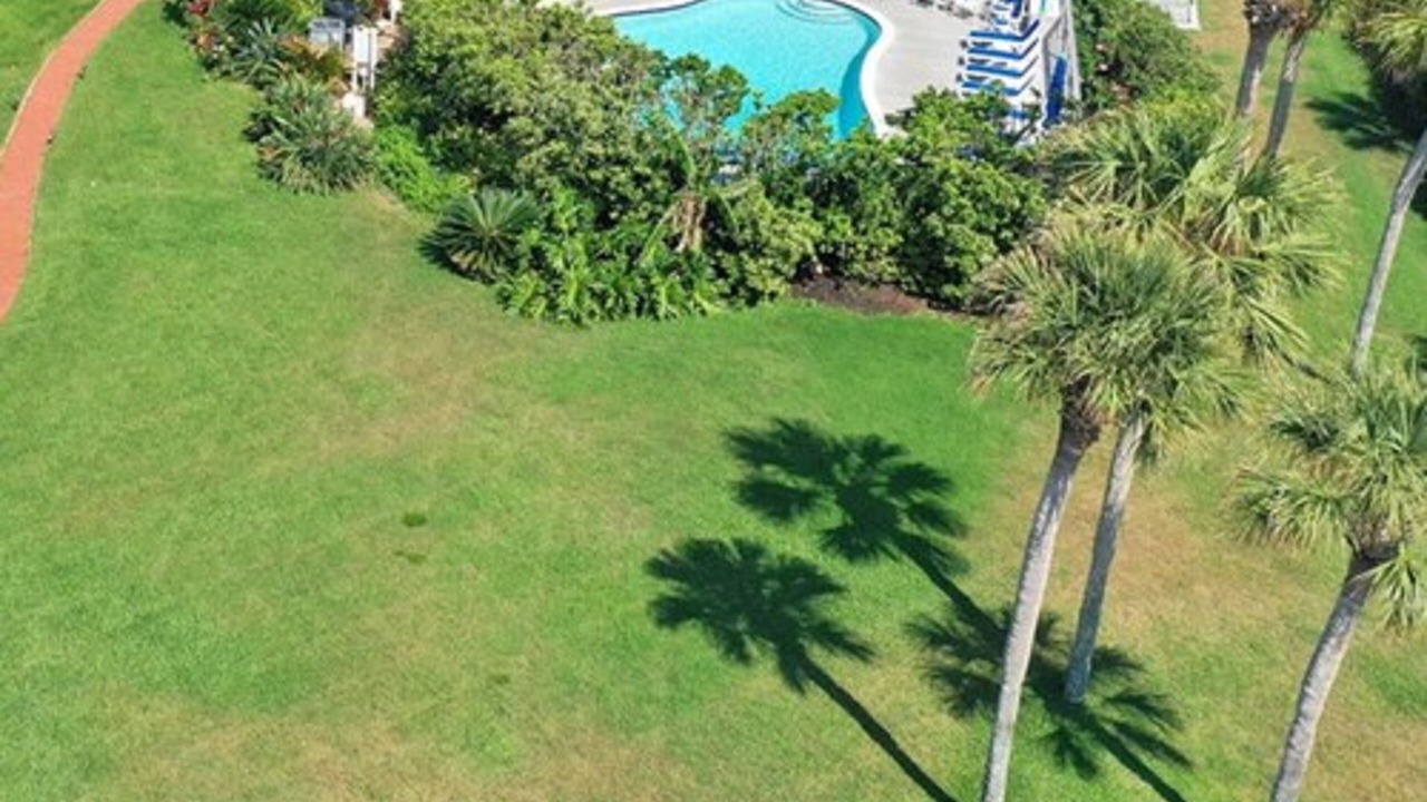 Photo of Outdoor in St. Augustine Beach