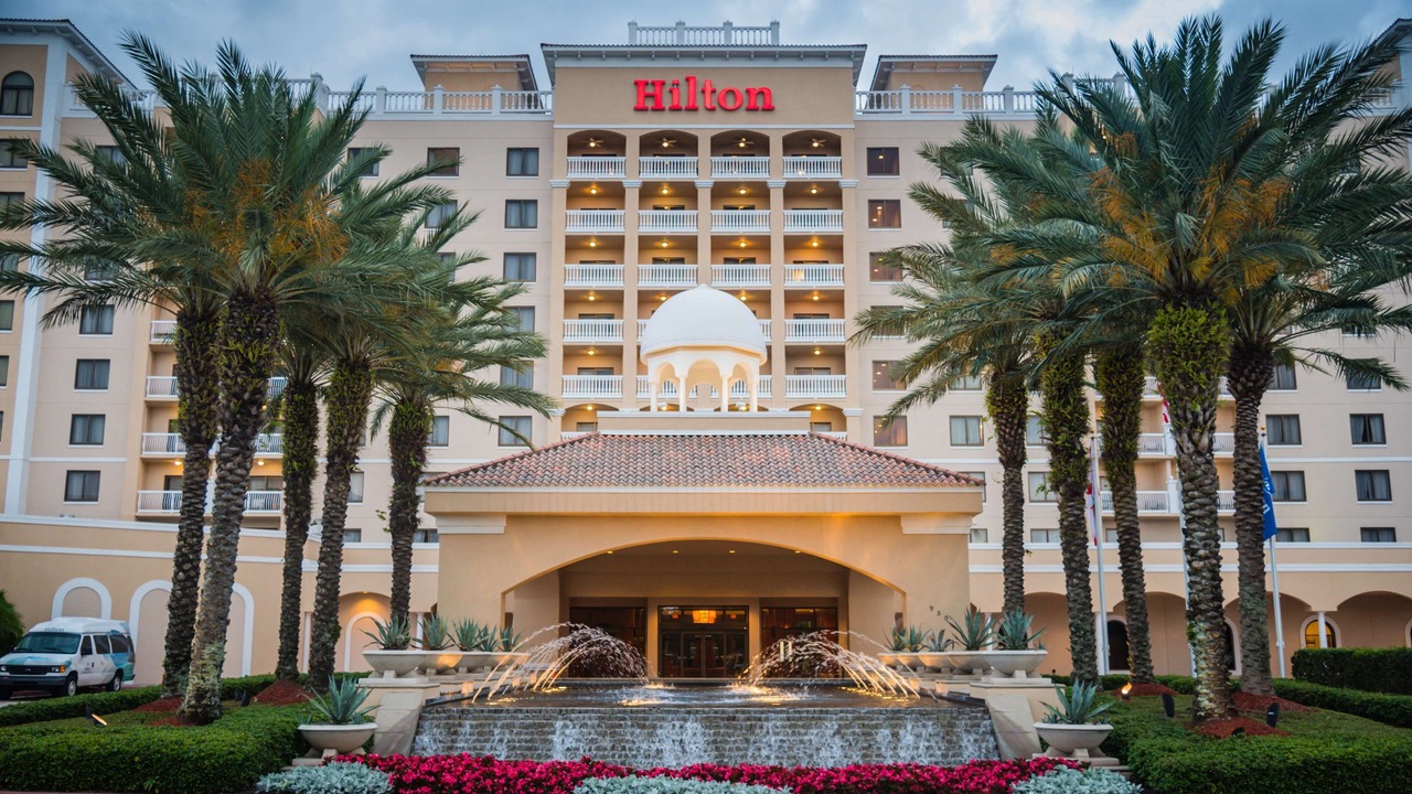 Photo of Outdoor in St. Petersburg - Clearwater