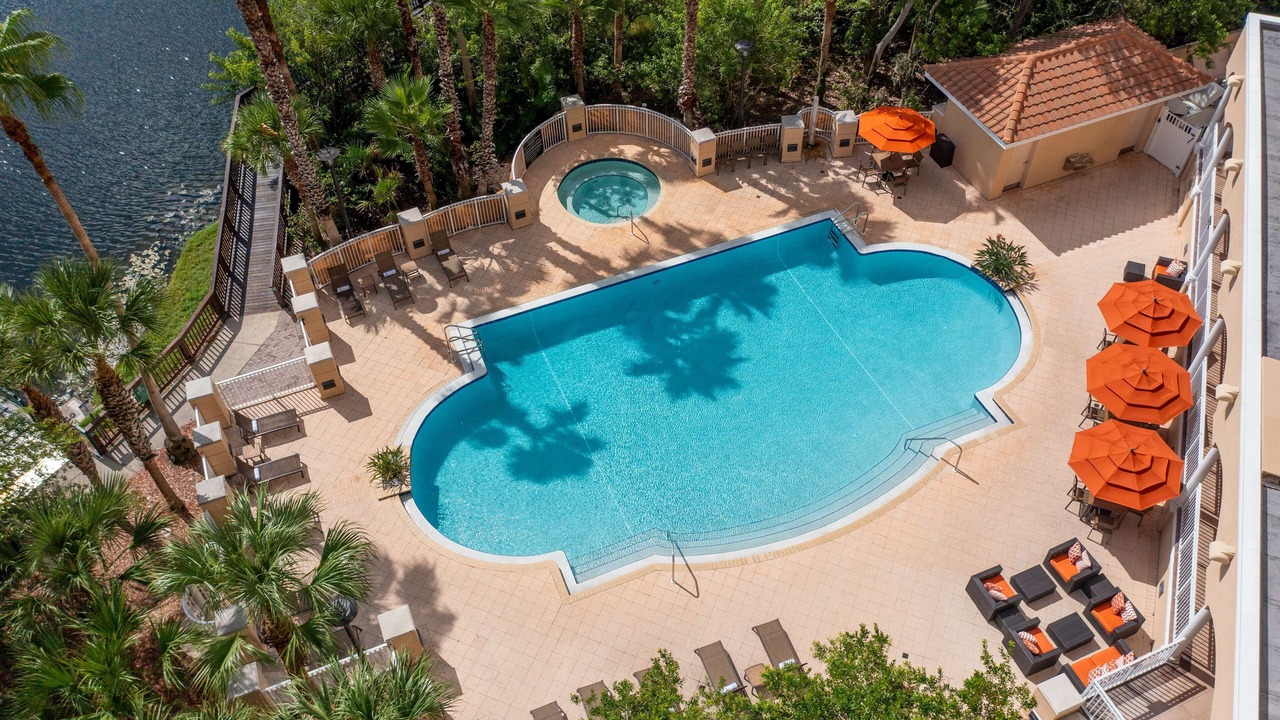 Photo of Outdoor in St. Petersburg - Clearwater