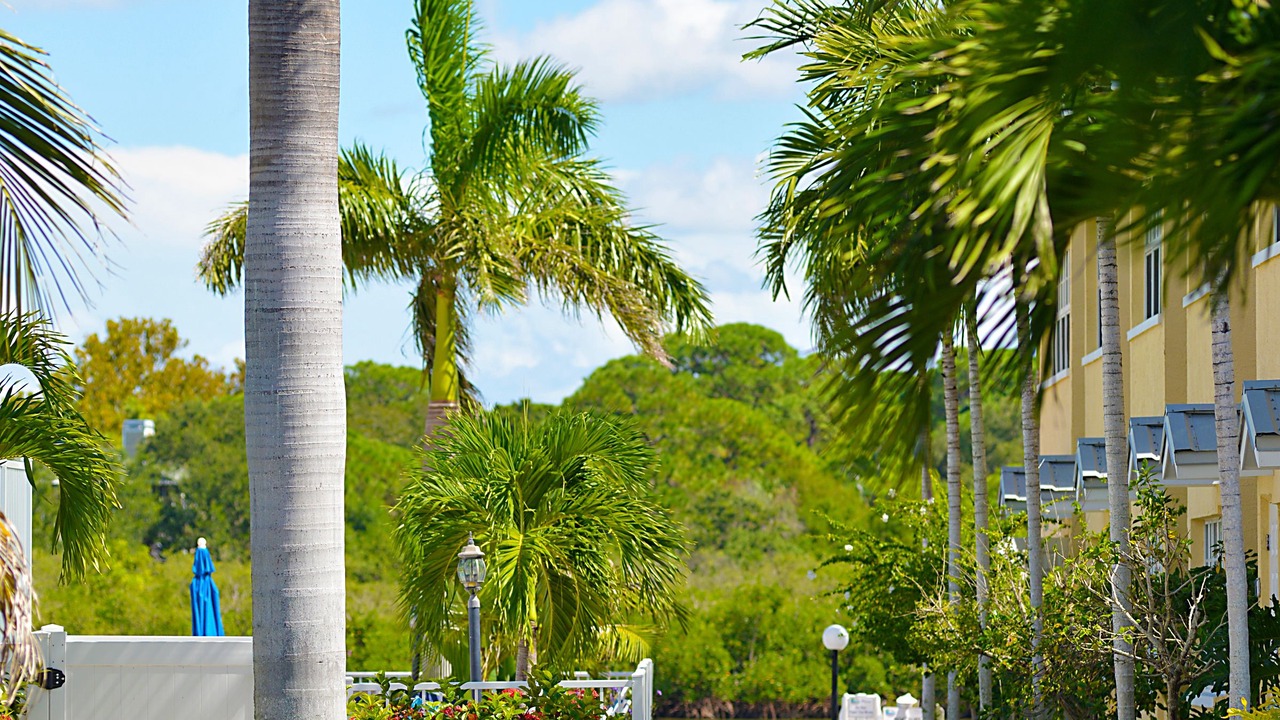 Photo of Outdoor in Indian Shores
