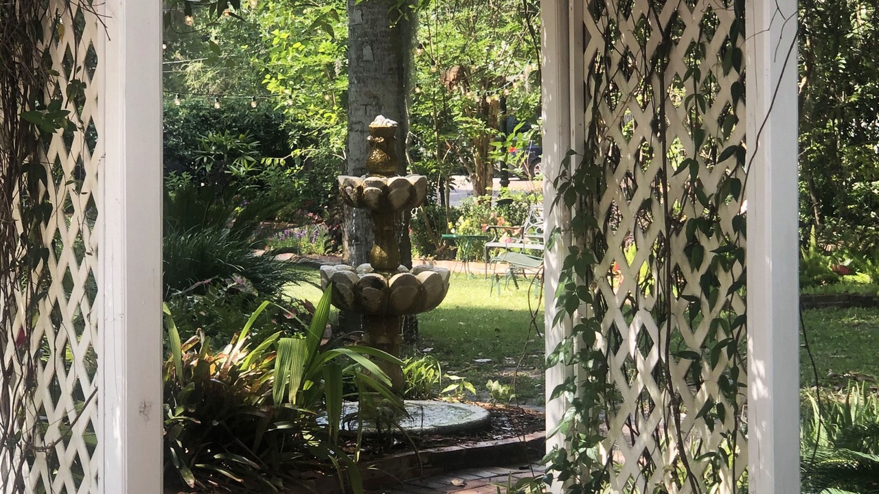 Photo of Outdoor in Gainesville