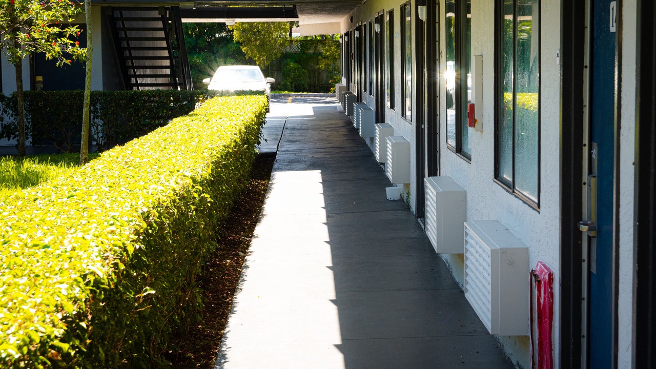 Photo of Outdoor in Lantana