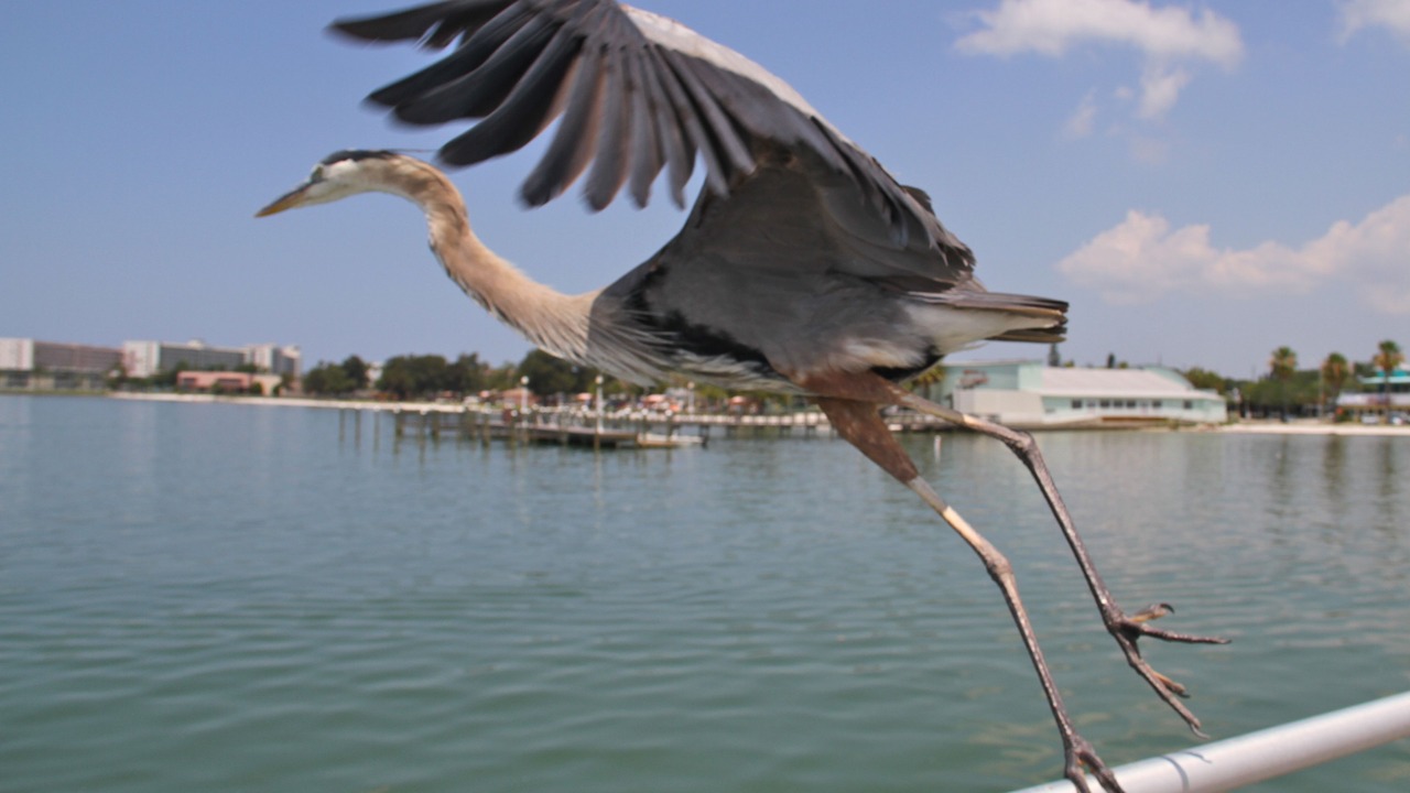 Photo of Outdoor in Gulfport