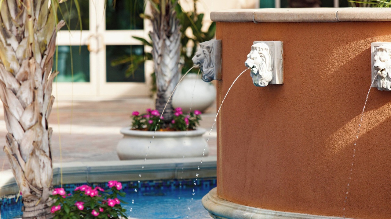 Photo of Others in Tampa