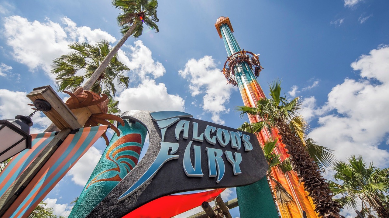 Photo of Others in Tampa