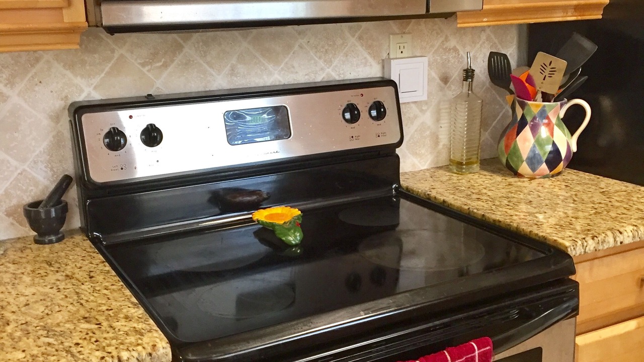 Photo of Kitchen in St. Petersburg