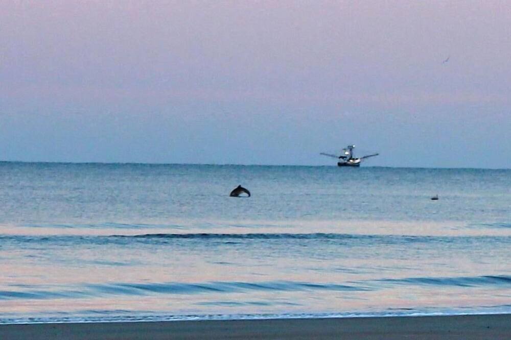 Photo of Others in Amelia City