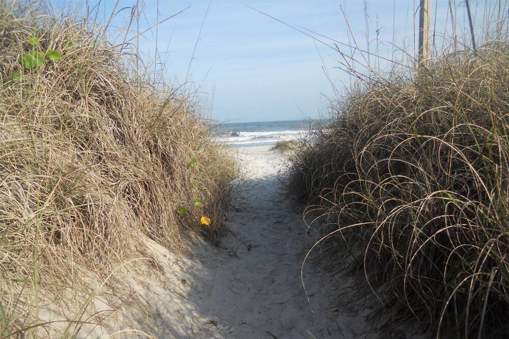 Photo of Others in Amelia City